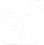 Icon eigene Keimlingsanzucht