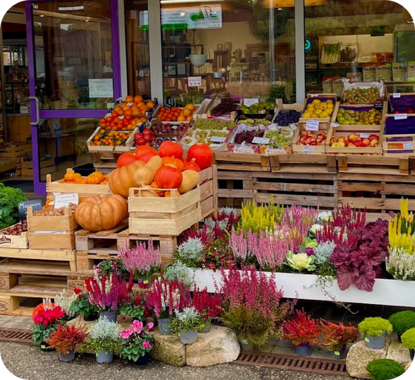 Sprouts Ladensortiment vor dem Eingang